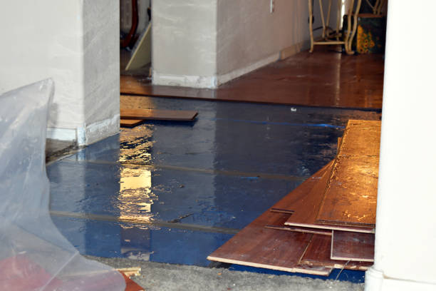 Professional Sewage Cleanup technician working in Vaughan, MS